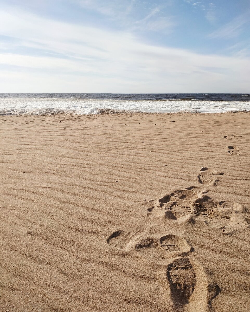 Ты дошла до дна. Поздравляю! 