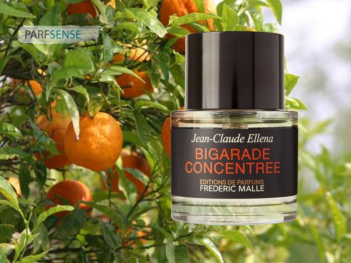 Frederic Malle Bigarade concentree