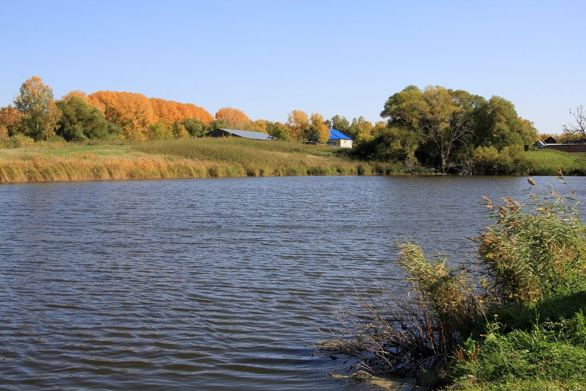 Деревенское озеро.