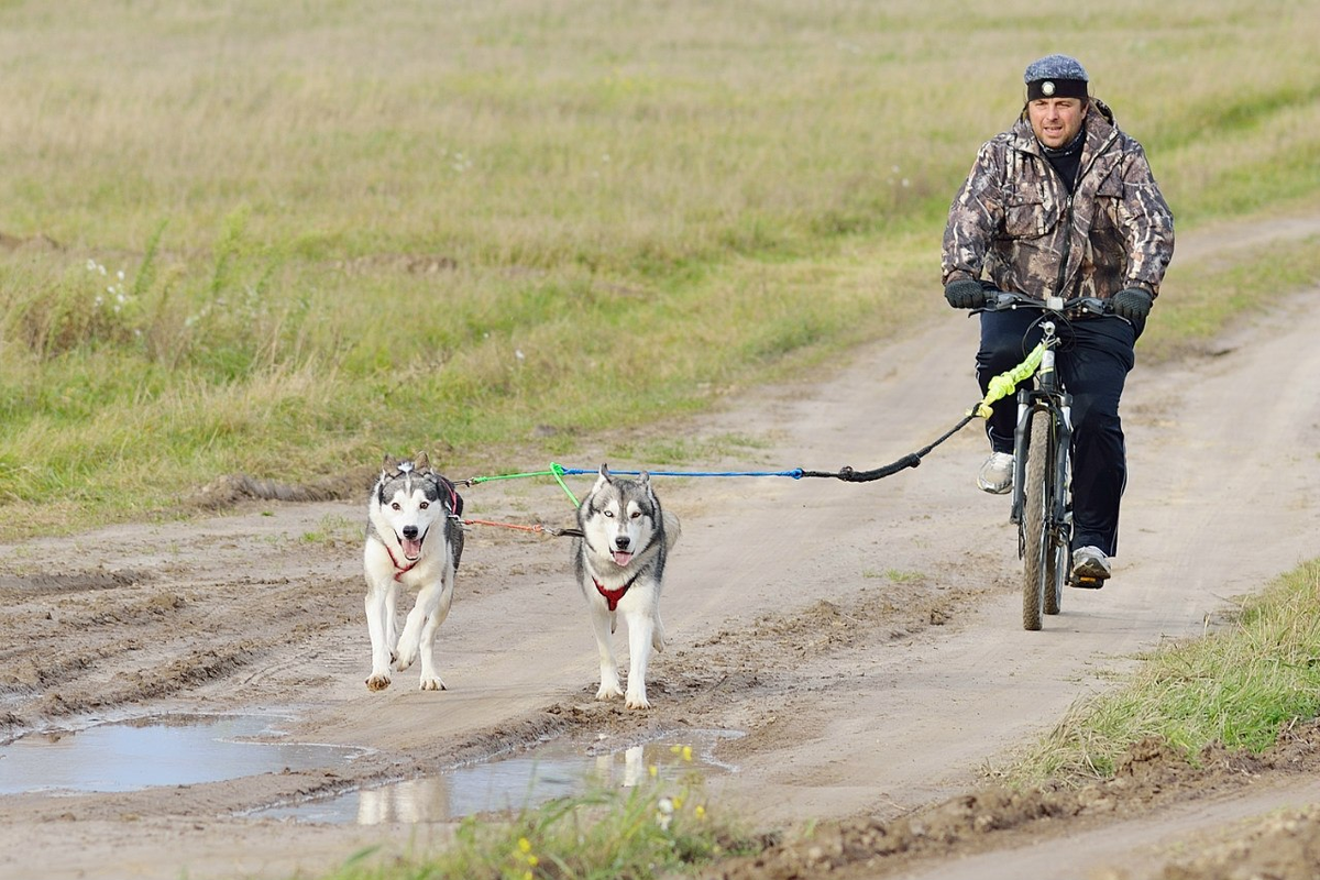 Источник Яндекс картинки