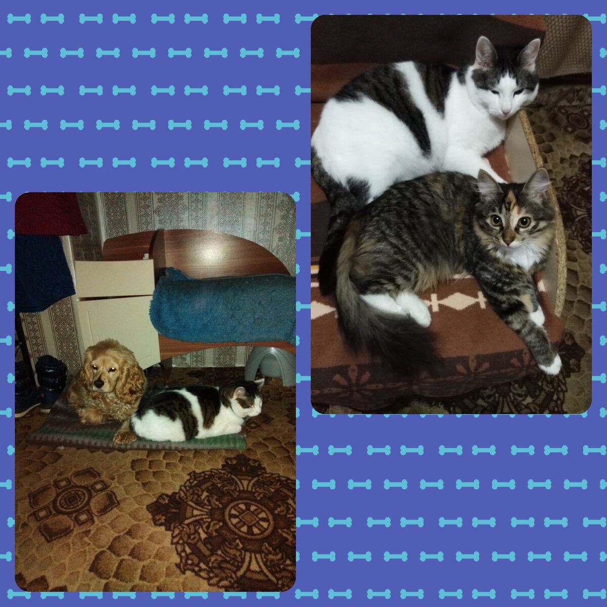 Все фотографии в статье автора