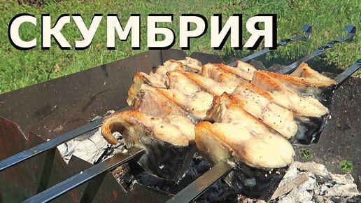 Шашлык из рыбы. Скумбрия на мангале.