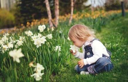 Быть любознательным, как ребенок - бесценно