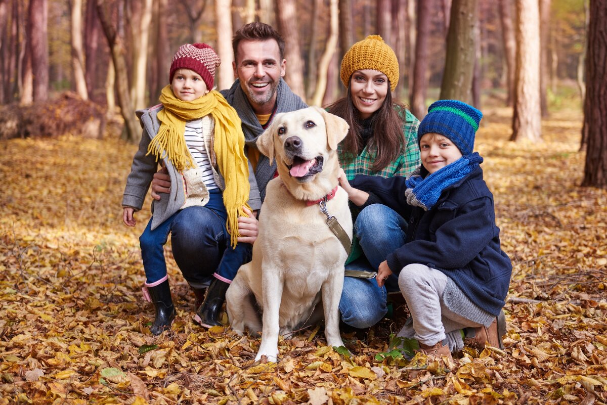 ФОТОМАТЕРИАЛ - https://www.freepik.com/free-photo/portrait-happy-family-during-autumn_11980574.htm#page=1&query=happy%20family%20and%20dog&position=11