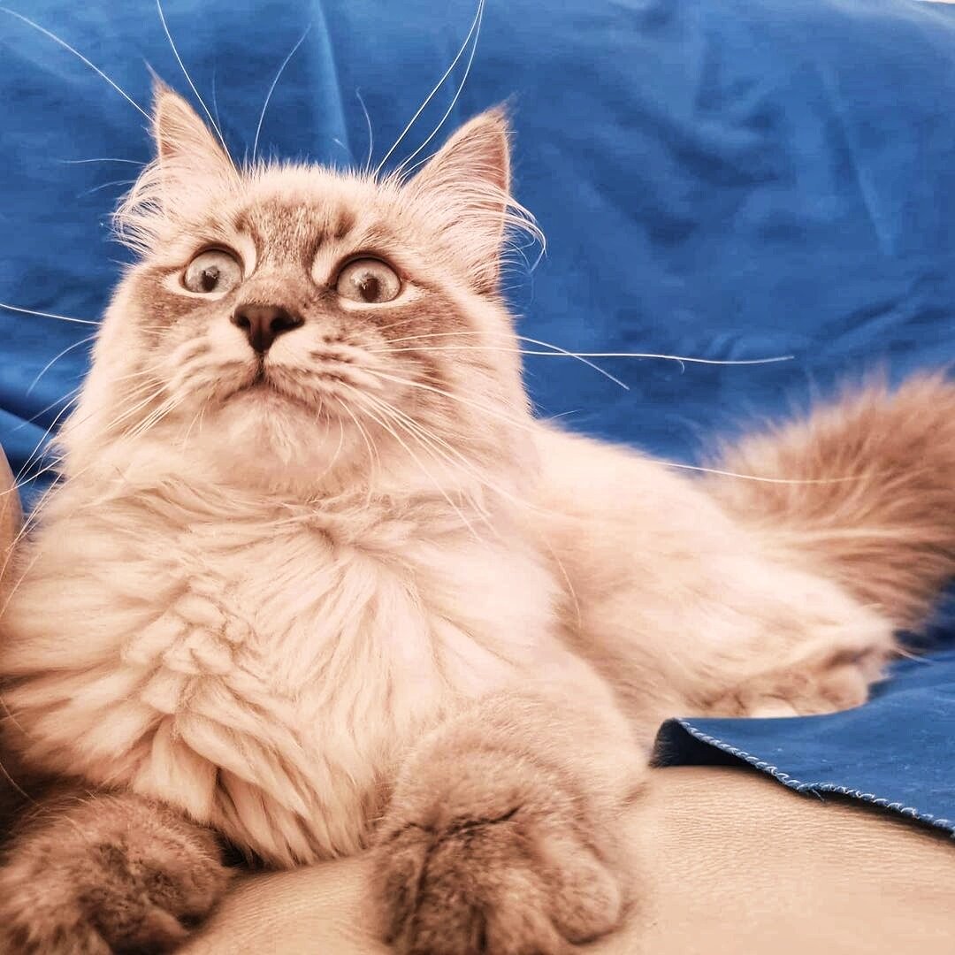 В глазах ужас!