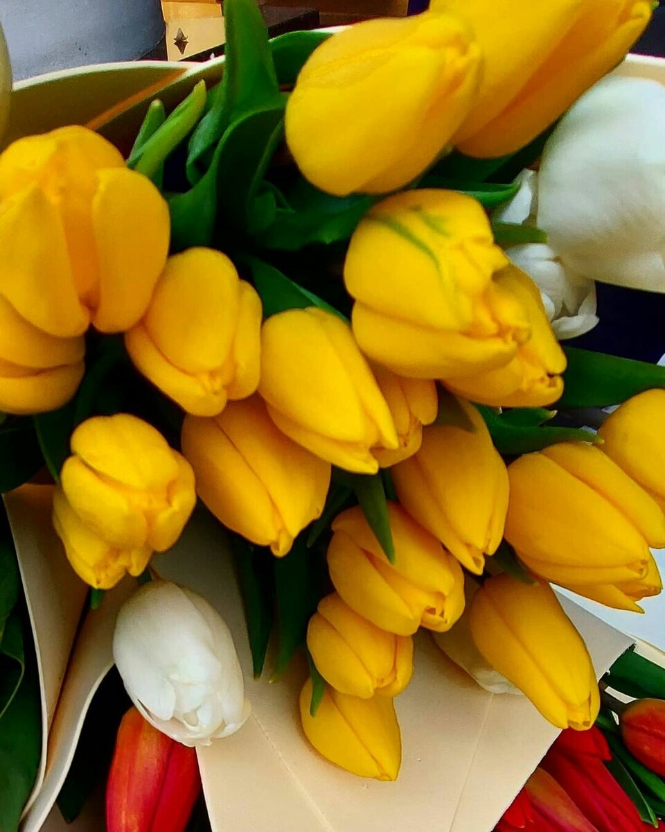 @lana 46l https://www.instagram.com/lana46l/