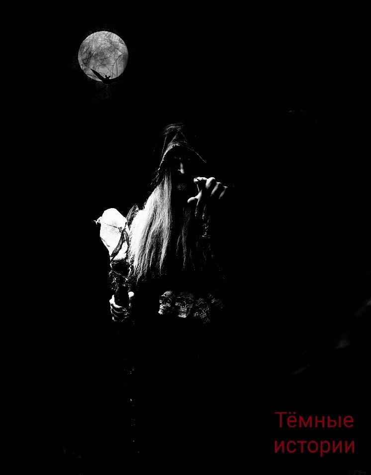 Изображение для иллюстрации.