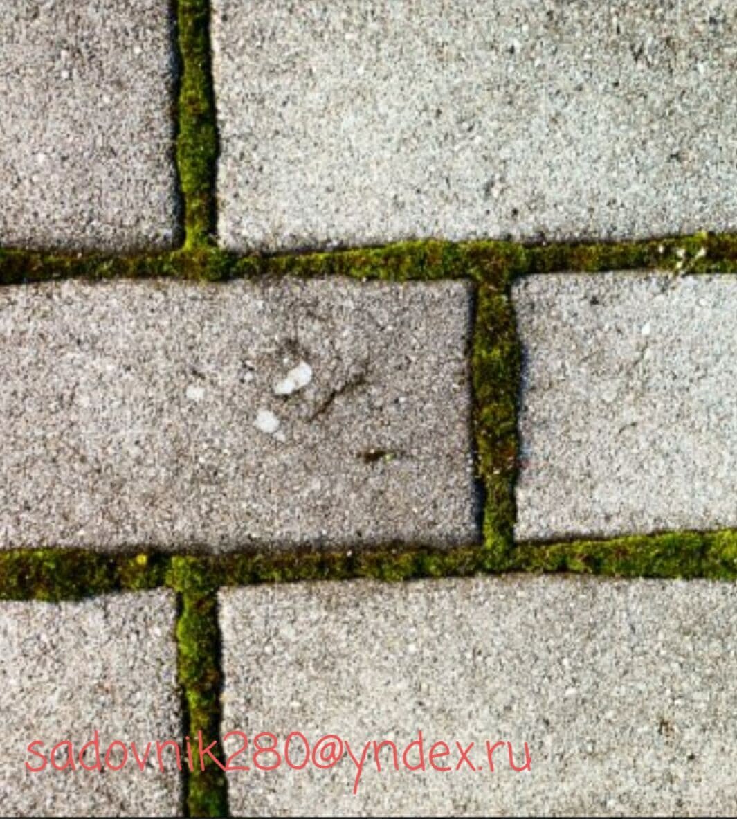 Мох то  же можно вывести этим раствором.