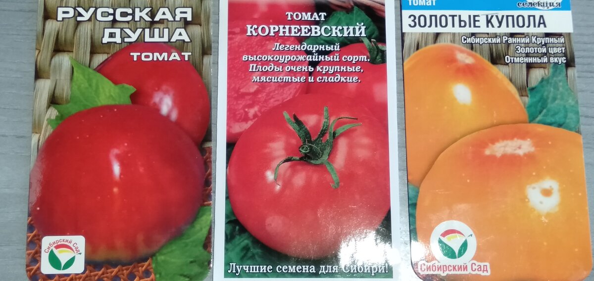 Лучшие сорта томатов Сибирской селекции