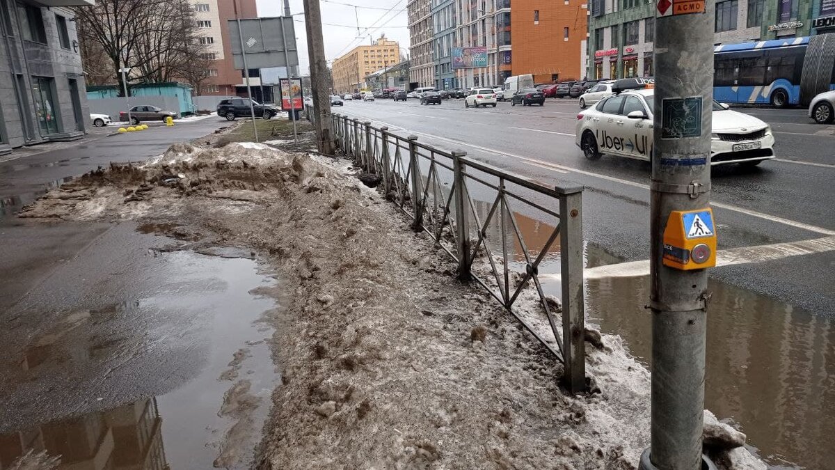 Проспет Медиков. Центр города Петроградка.