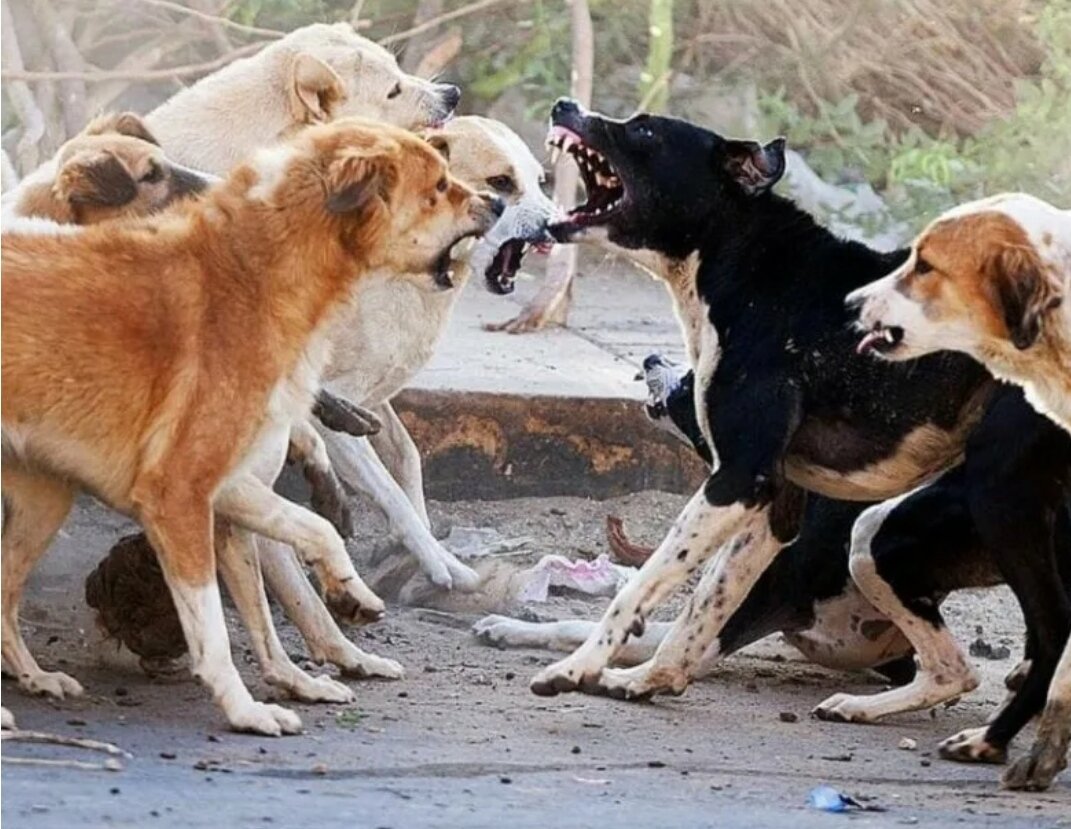 Фото с gorzavod.ru