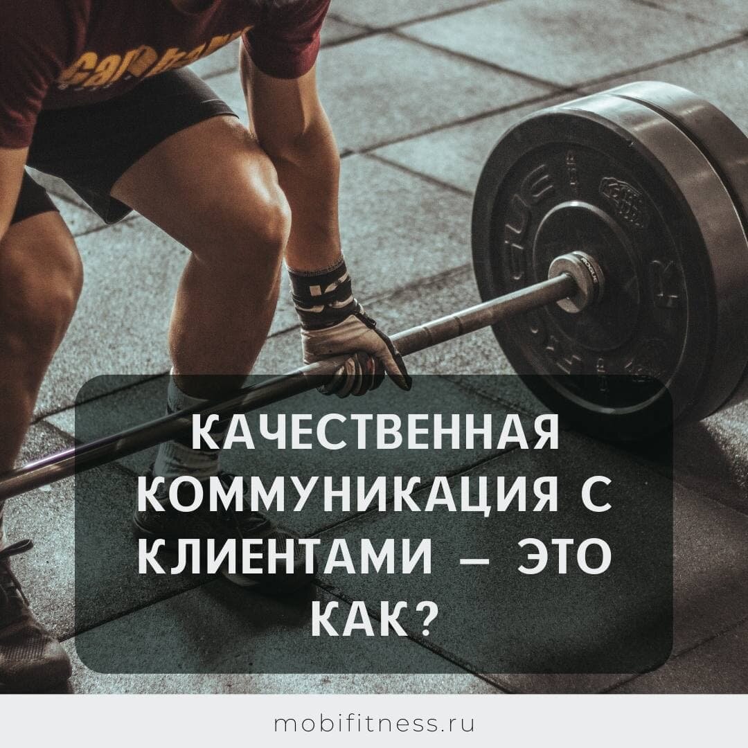 Мобифитнес. Mobifitness. Мобифитнес написать в поддержку.