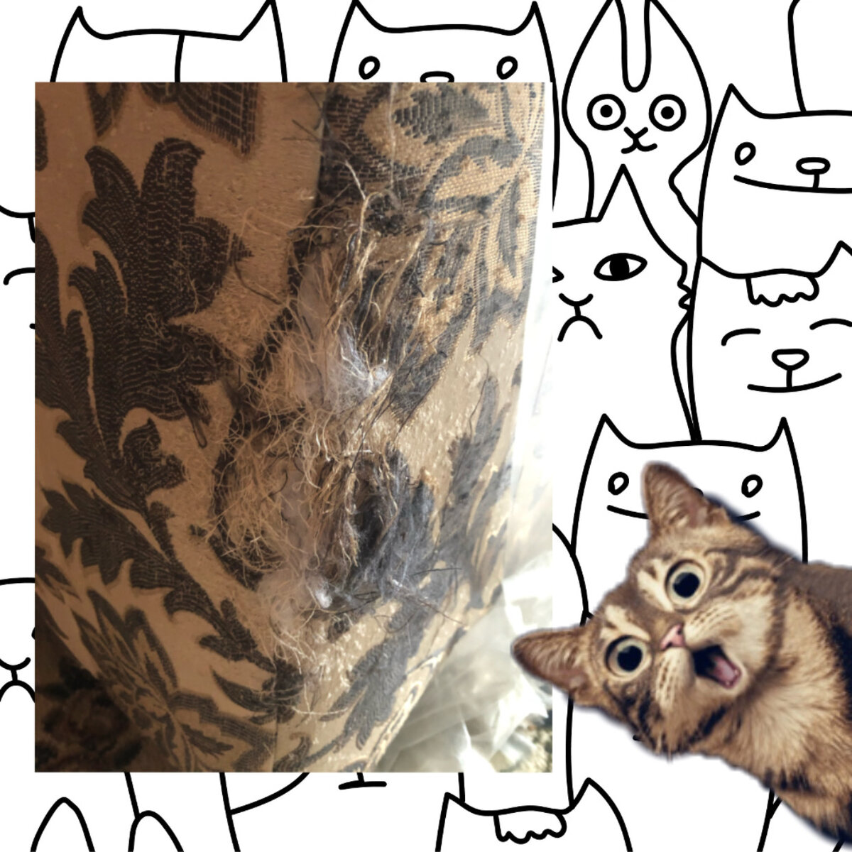 Пушина работа