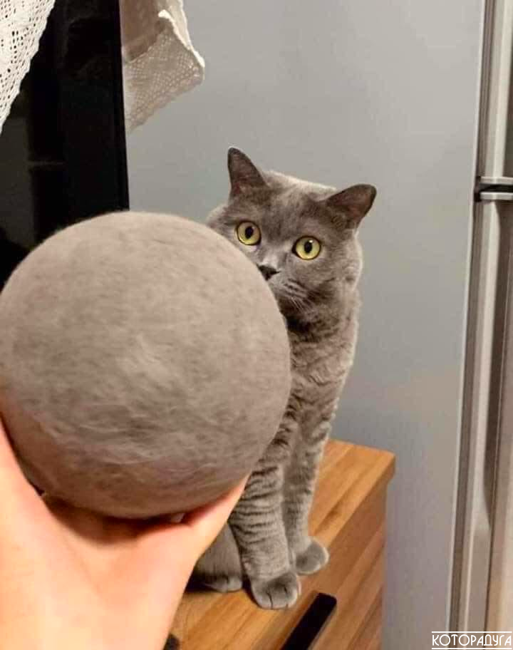 Источник: reddit.com