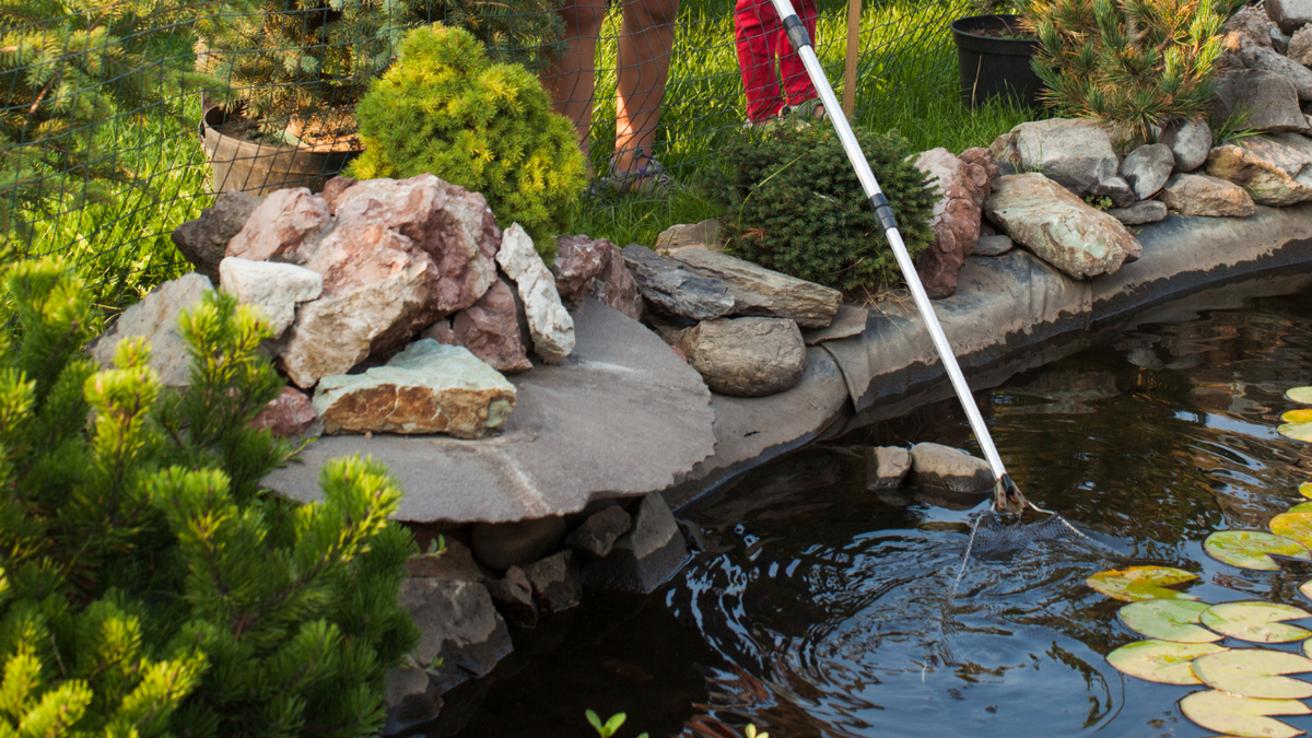 Ландшафтная мастерская Ильи Лациса https://landshaftm.ru/