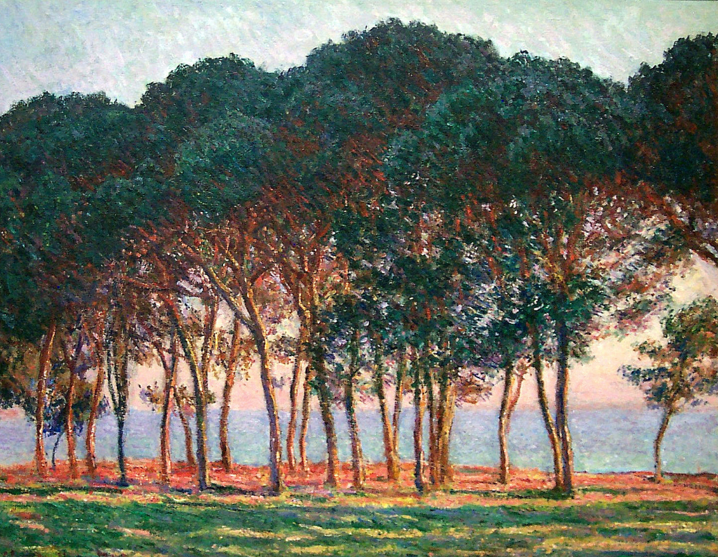 Фотография картины К. Моне "Сосны. Вечерний свет" (из открытых источников)
