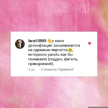 Вопрос от моей подписчицы                                                                                                                                                  Так как лучше поливать фиалки: в поддон, использовать фитильный полив, прикорневой( или верхний), или использовать капиллярные маты?                                                                                         Я использую все четыре вида полива:                                                                                                                                 