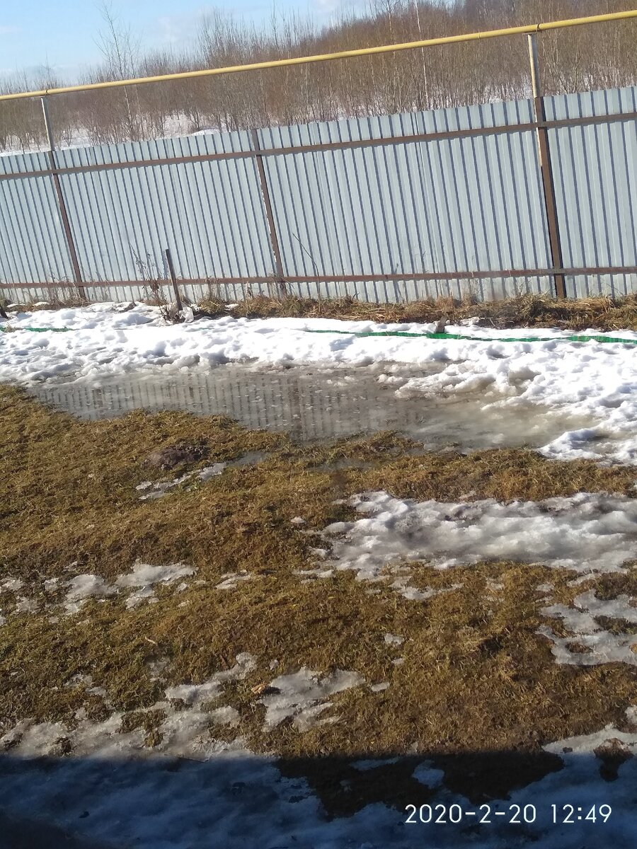Ранняя весна прошлого года 20.02.2020