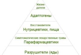 Пирамида лекарств согласно традиционной китайской медицине.