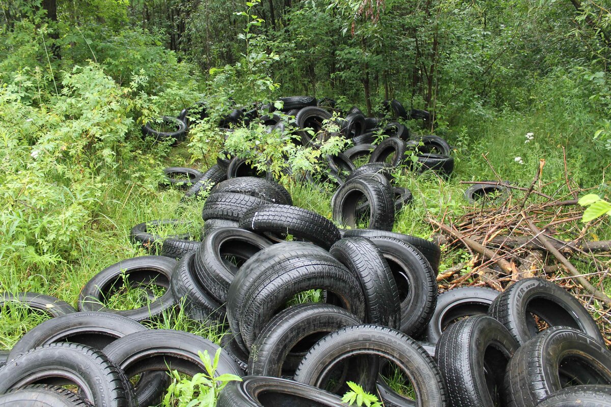 горы покрышек