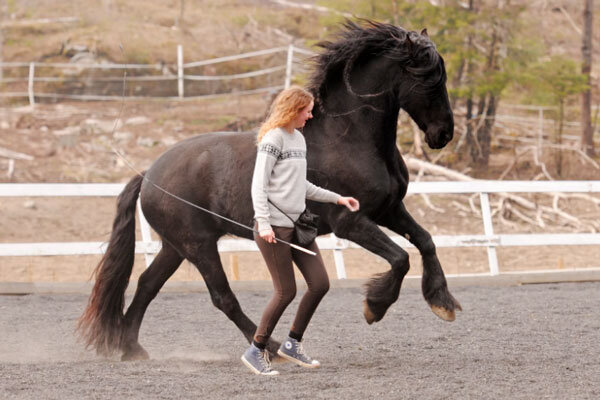 Источник фото сервис Яндекс.Картинки
