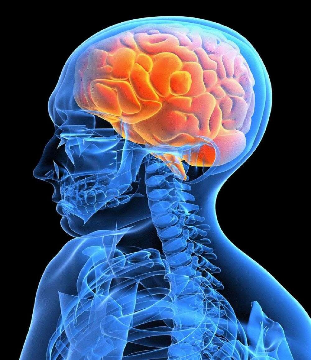 Фото из открытого источника