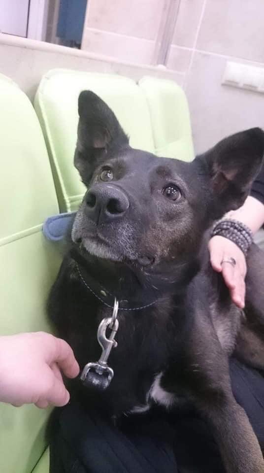 Нора, 5 лет, ищет семью