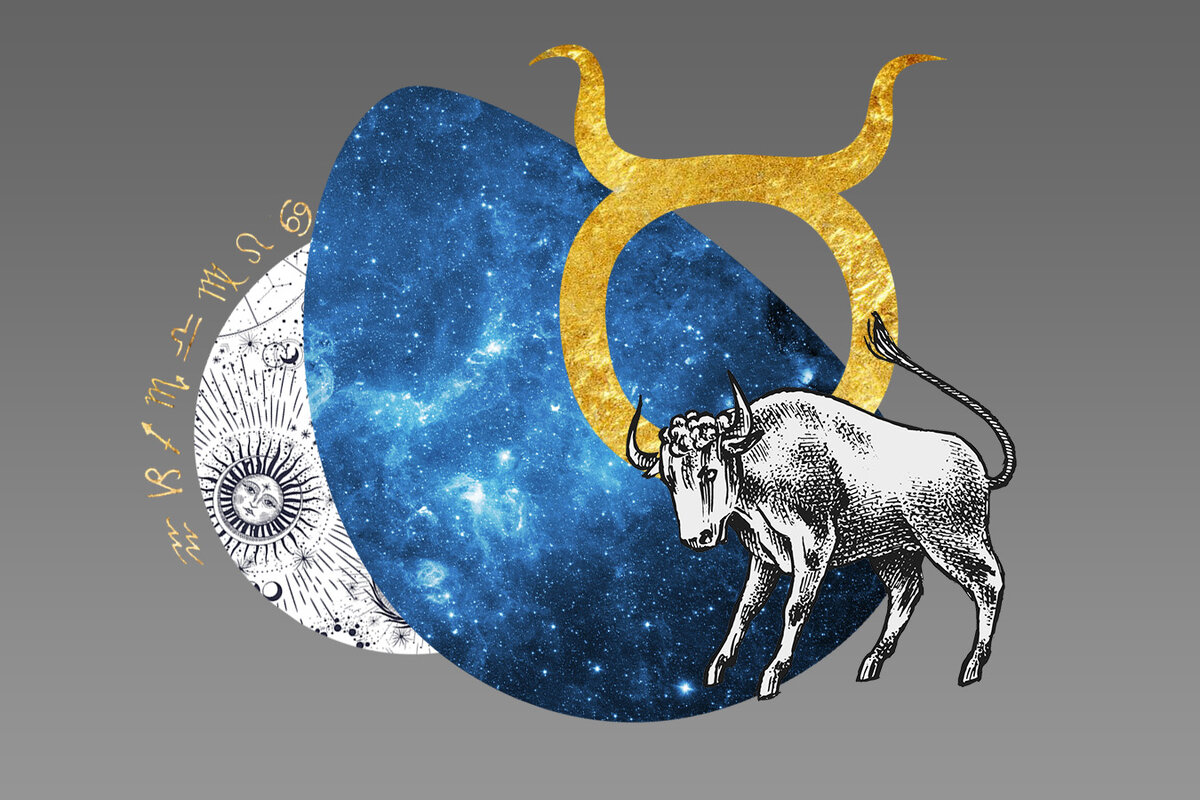 Изображение с сайта 5sfer.com