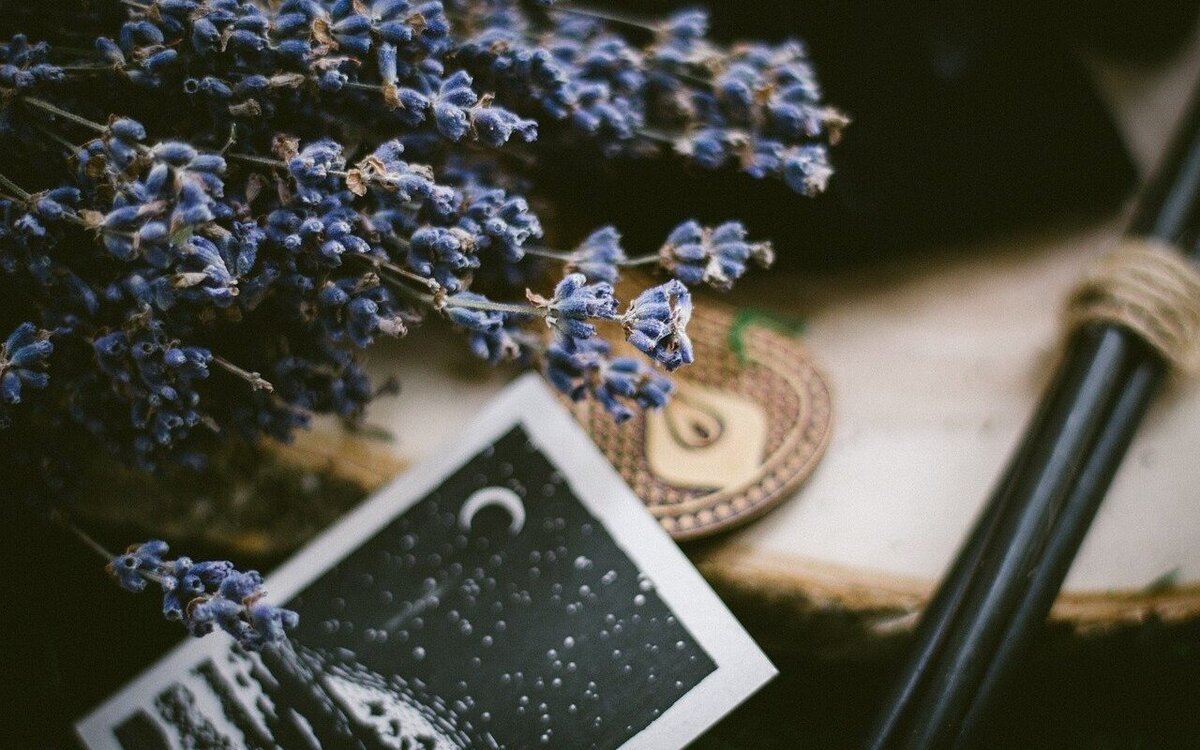 с сайта Pixabay