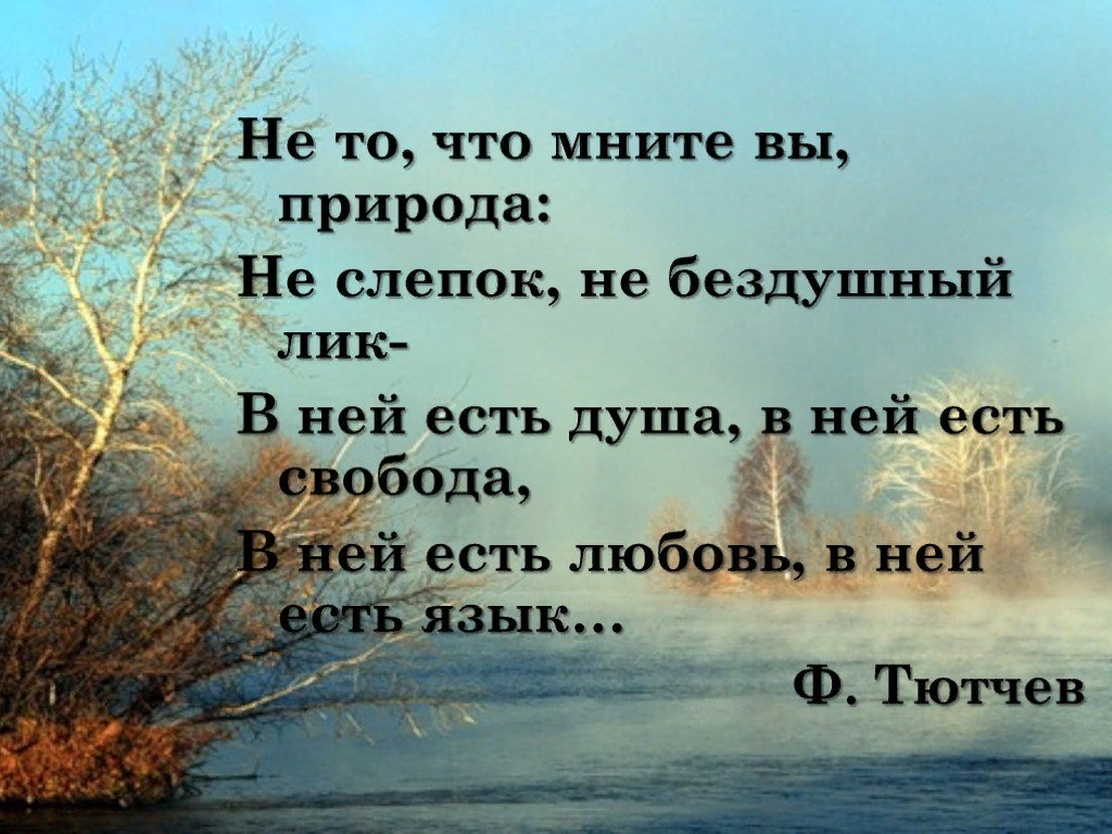 Стихи о природе. Стихи о природе короткие. Стих о природе небольшой. Стихотворения о приводи.