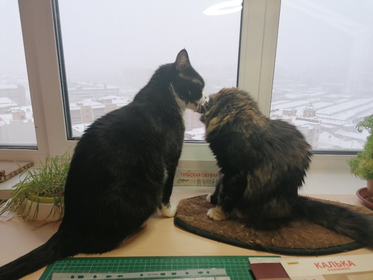 Жорик и Бася