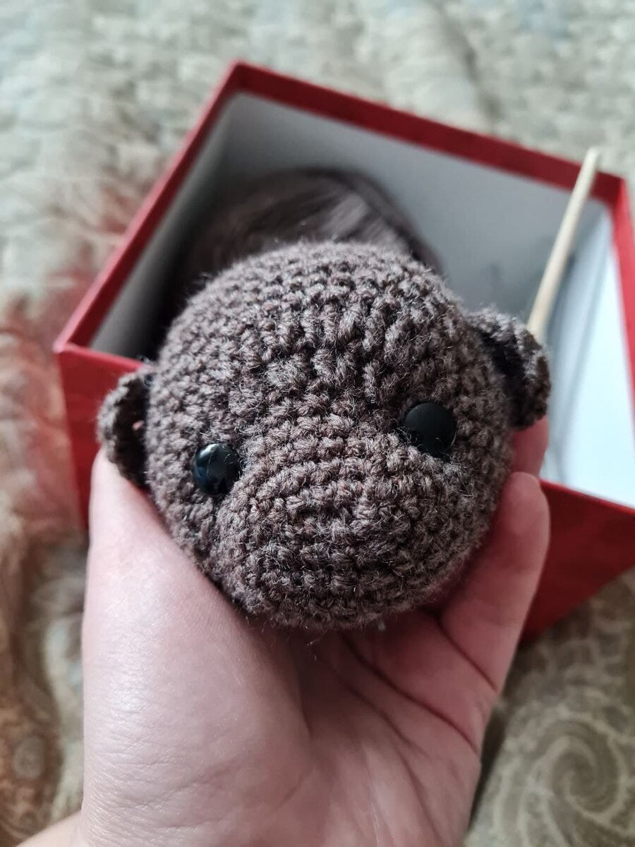 Фото головы моего мишки