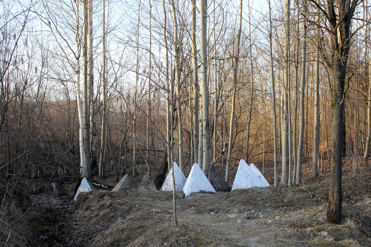 Санкт-Петербург. ул. Руставели
