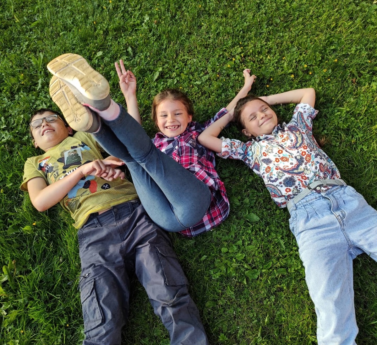 Фото автора. Коты)