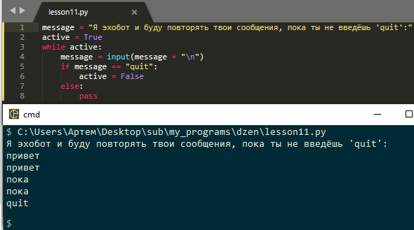 Пример использование флагов в цикле while.