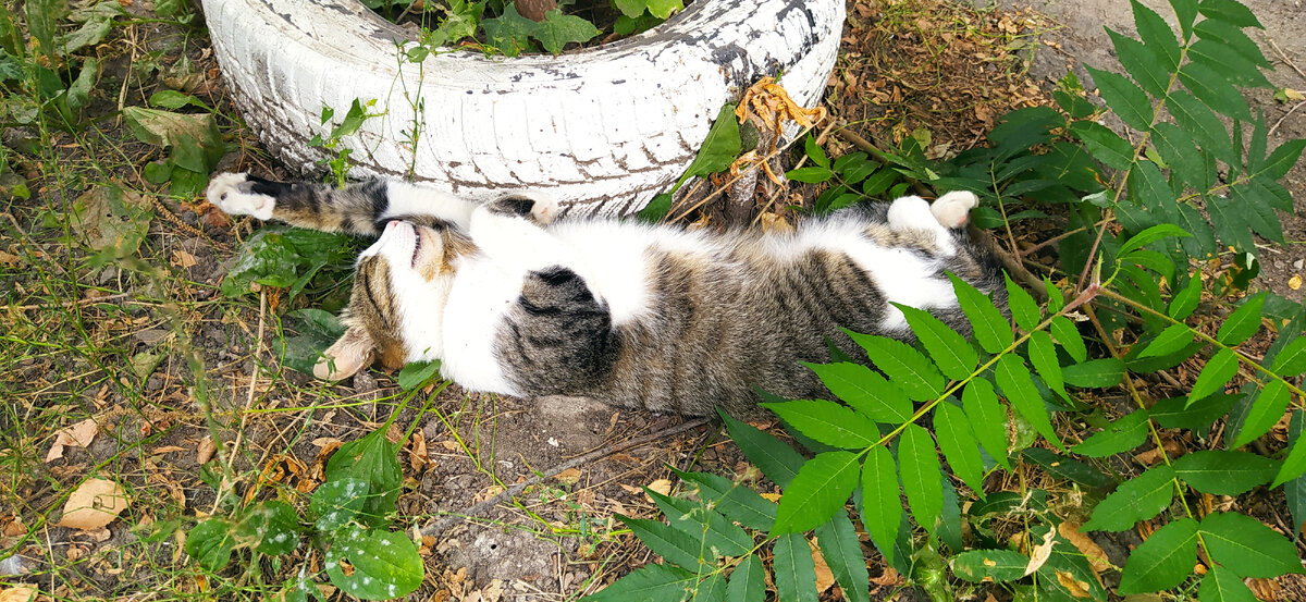 На улице хорошо!