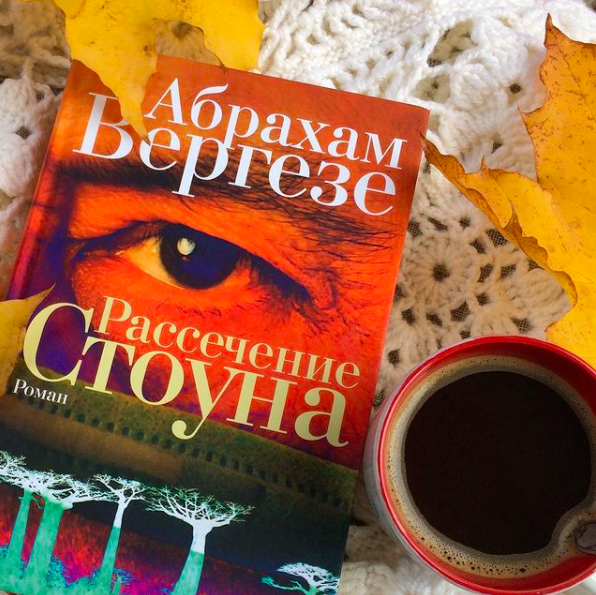 Вергезе рассечение стоуна. Рассечение Стоуна Абрахам Вергезе книга. Вергезе а. "рассечение Стоуна". Рассечение Стоуна Абрахам Вергезе иллюстрации. Рассечение Стоуна Абрахам.