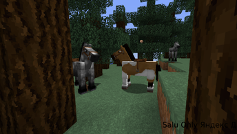 Как в Майнкрафт, приручить лошадь.