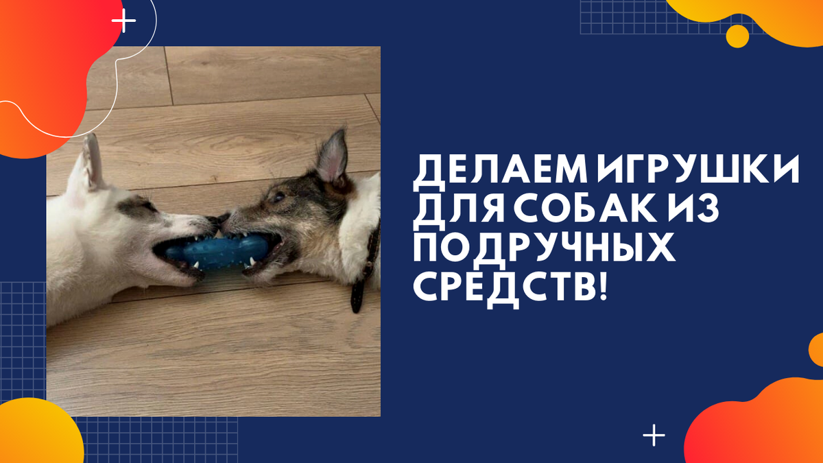 Собака из подручных материалов (70 фото) - картинки paraskevat.ru