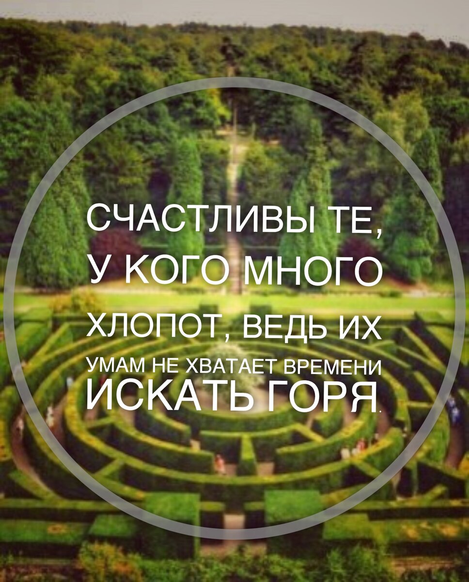 Цитата из книги