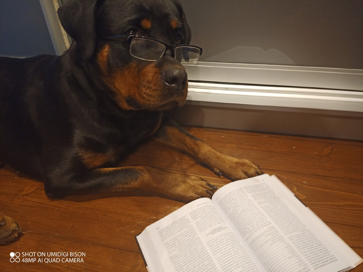 Роттмарш Яки-Да.