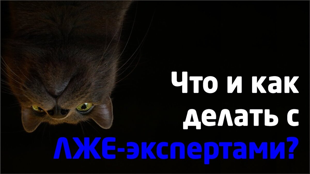 Иллюстрация к видео «Разоблачение глупостей ПСЕВДО- & ЛЖЕ-экспертов в области развития личности»