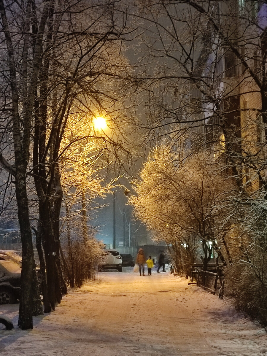 Наш дворик