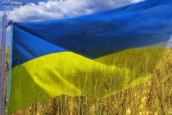 Яндекс картинки.
