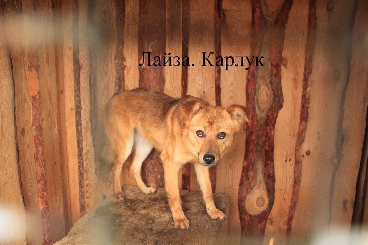 Фирменный взгляд снизу