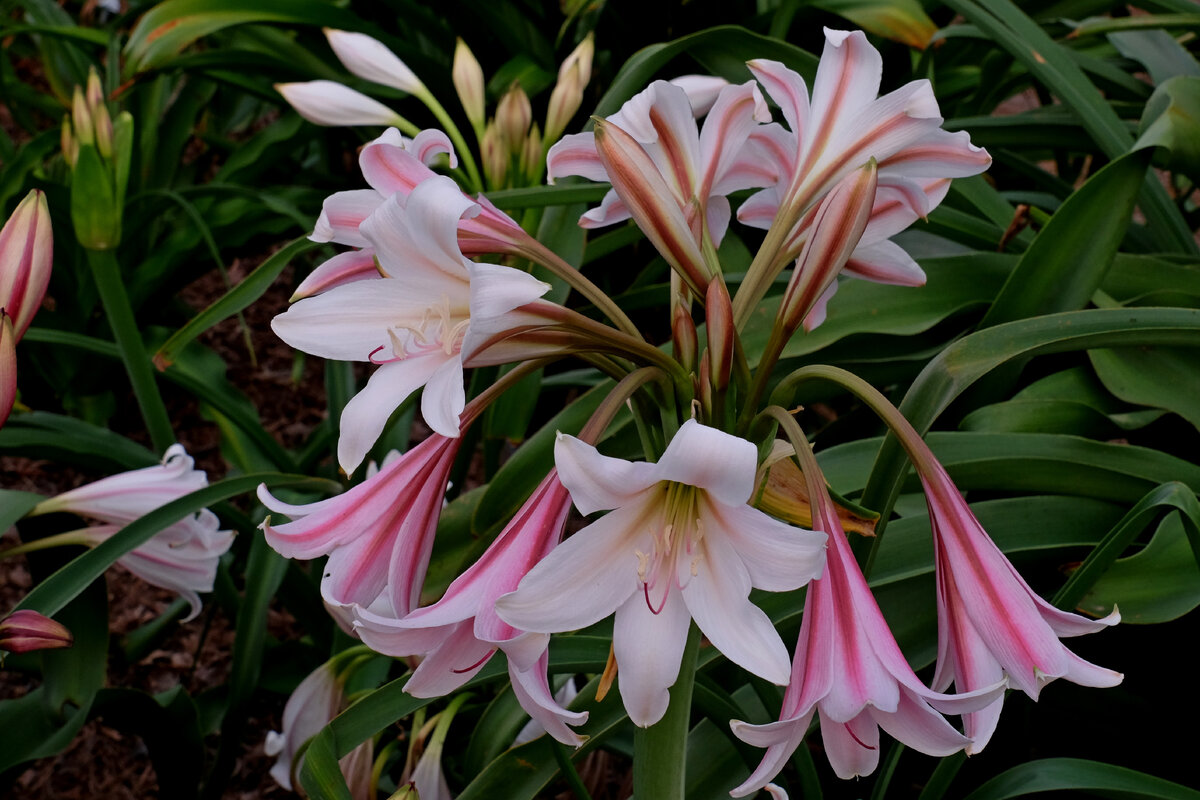 фото взято из открытых источников