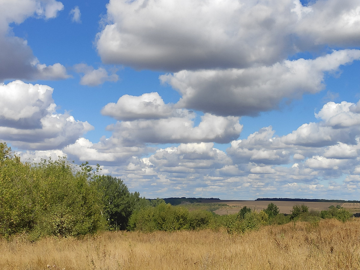 Бескрайние просторы вокруг нашего села