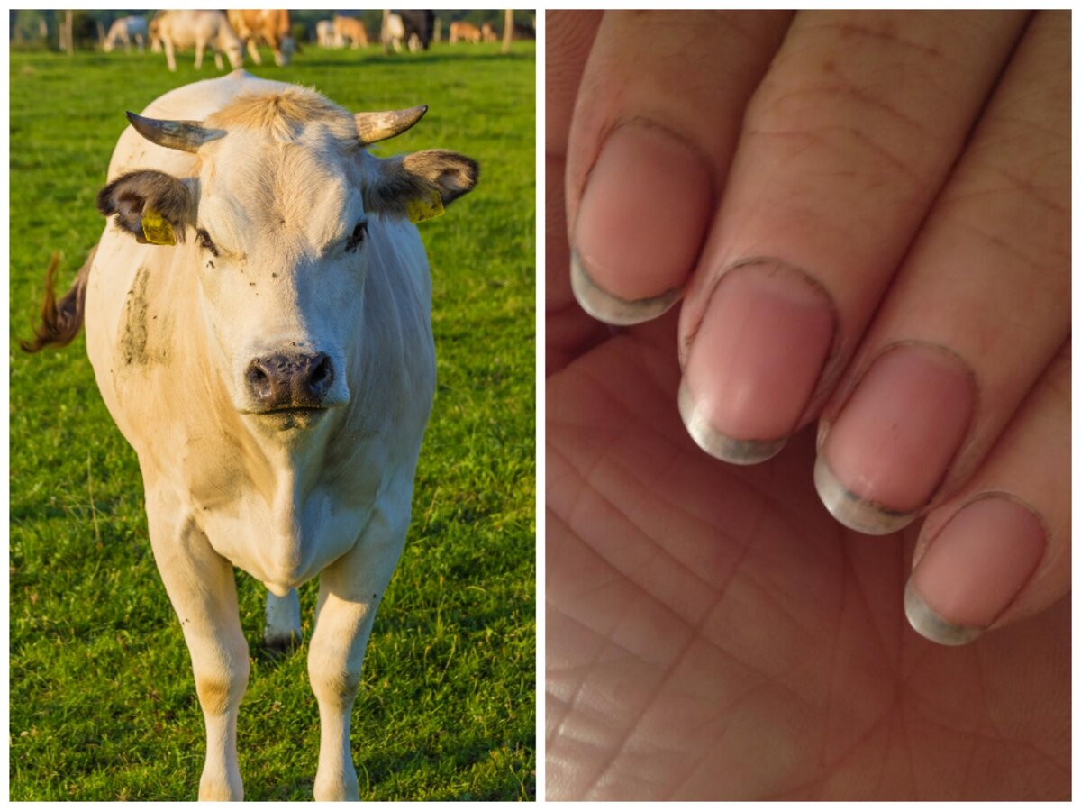 Фото с интернет источника. 