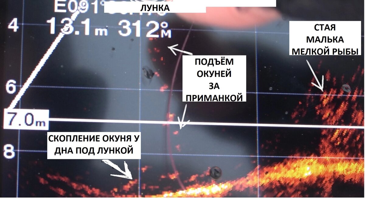 ЗИМНИЙ ЭХОЛОТ ПАНОПТИКС от Garmin | СИБИРИЯ | Дзен