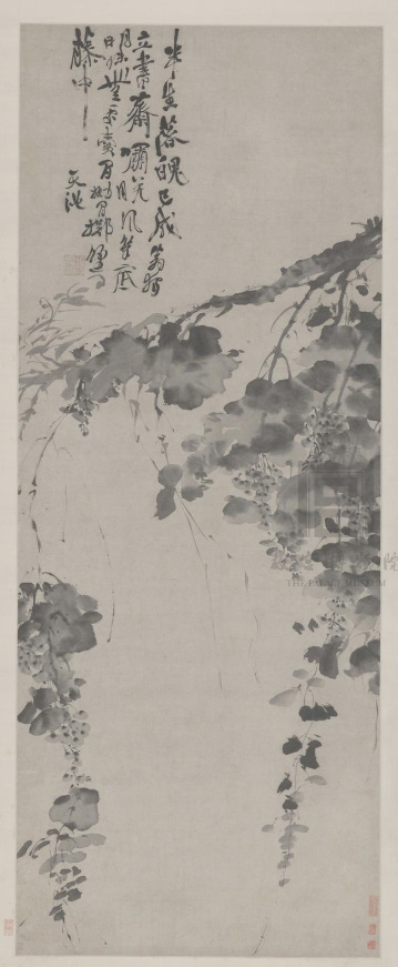 Шедевр Сюй Вэя «Писанный тушью виноград» проявляет необузданность нрава художника.                                              Музей Гугун